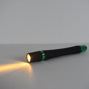 LED Blue White Penlight